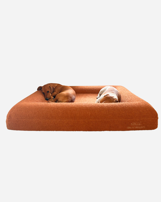 Jax Bed - Orthopaedic Memory Foam Dog Bed TERRACOTTA