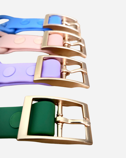 Walks with Ruby Collar Peach