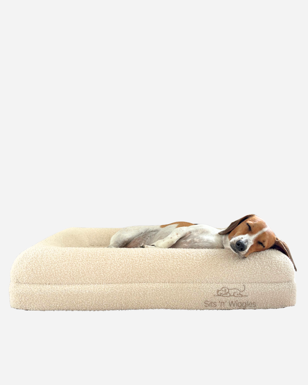 Jax Bed - Orthopaedic Memory Foam Dog Bed WHITE