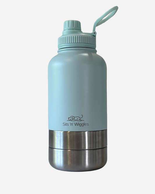 Scout Adventure Bottle with GULP LID Aqua