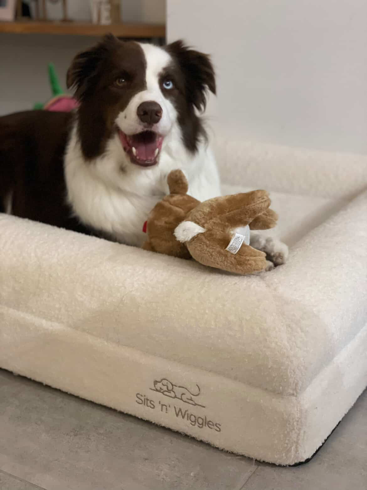 LIMITED EDITION - White Jax Bed Summer Sale Bundle