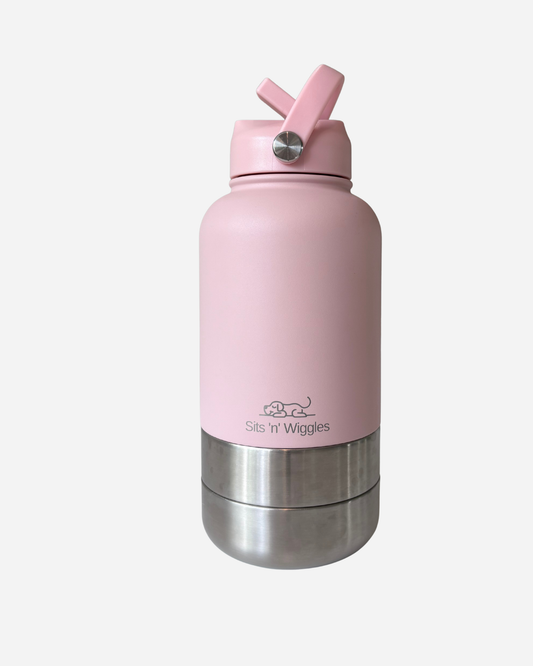 Scout Adventure Bottle Pink
