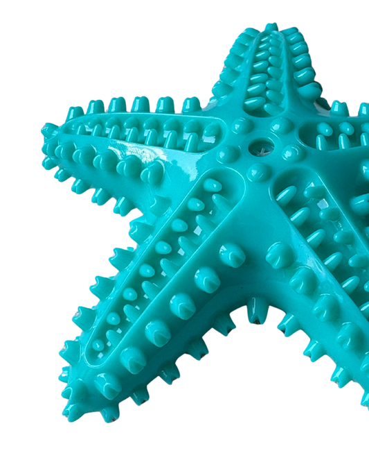 Starfish Teeth Cleaning Toy