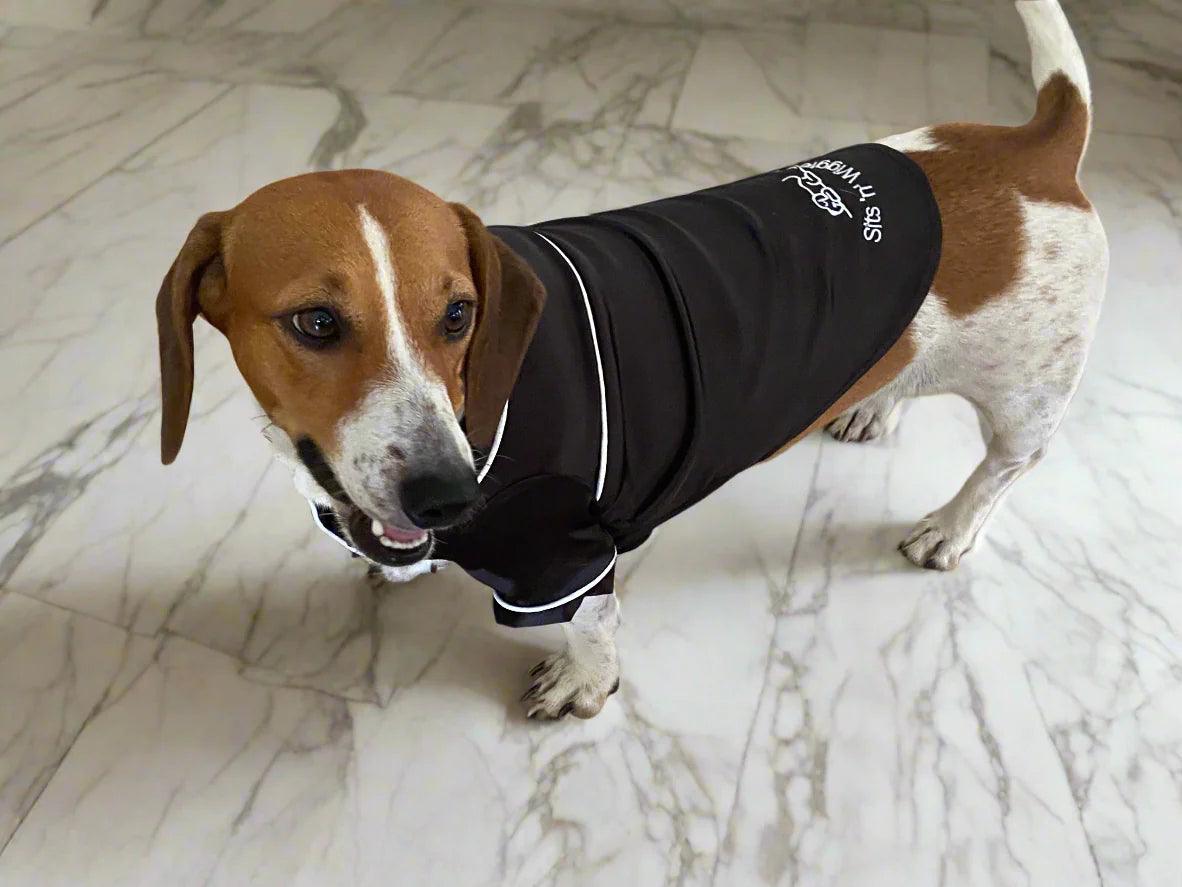 IMG_3141_76b7413d-4837-4748-8d1b-e9882319ee78 - Sits 'n' Wiggles