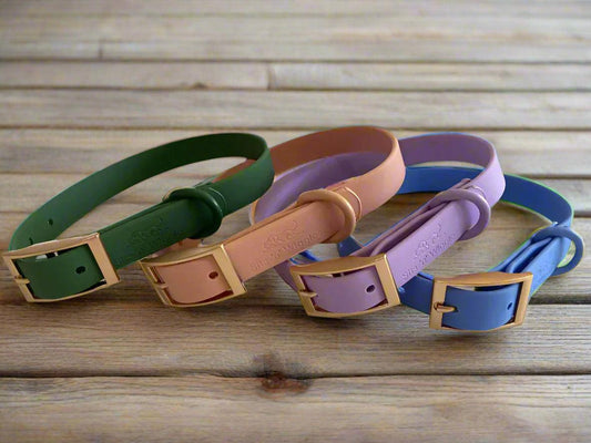 IMG_3214 - Sits 'n' Wiggles