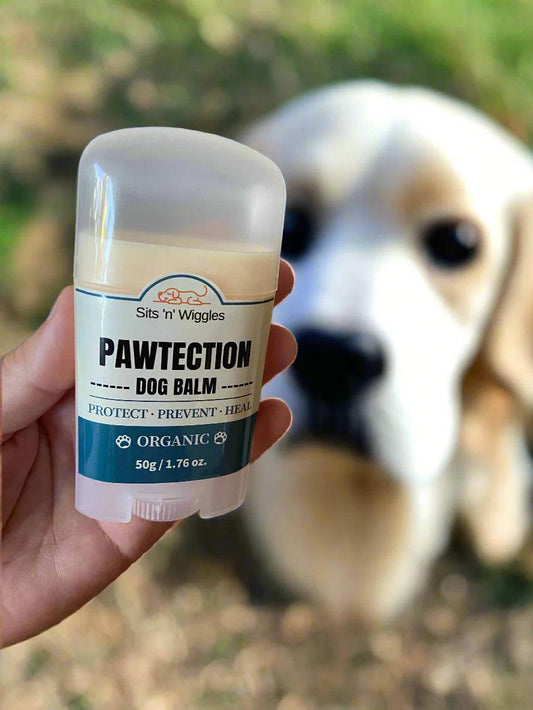 IMG_3275 - Sits 'n' Wiggles