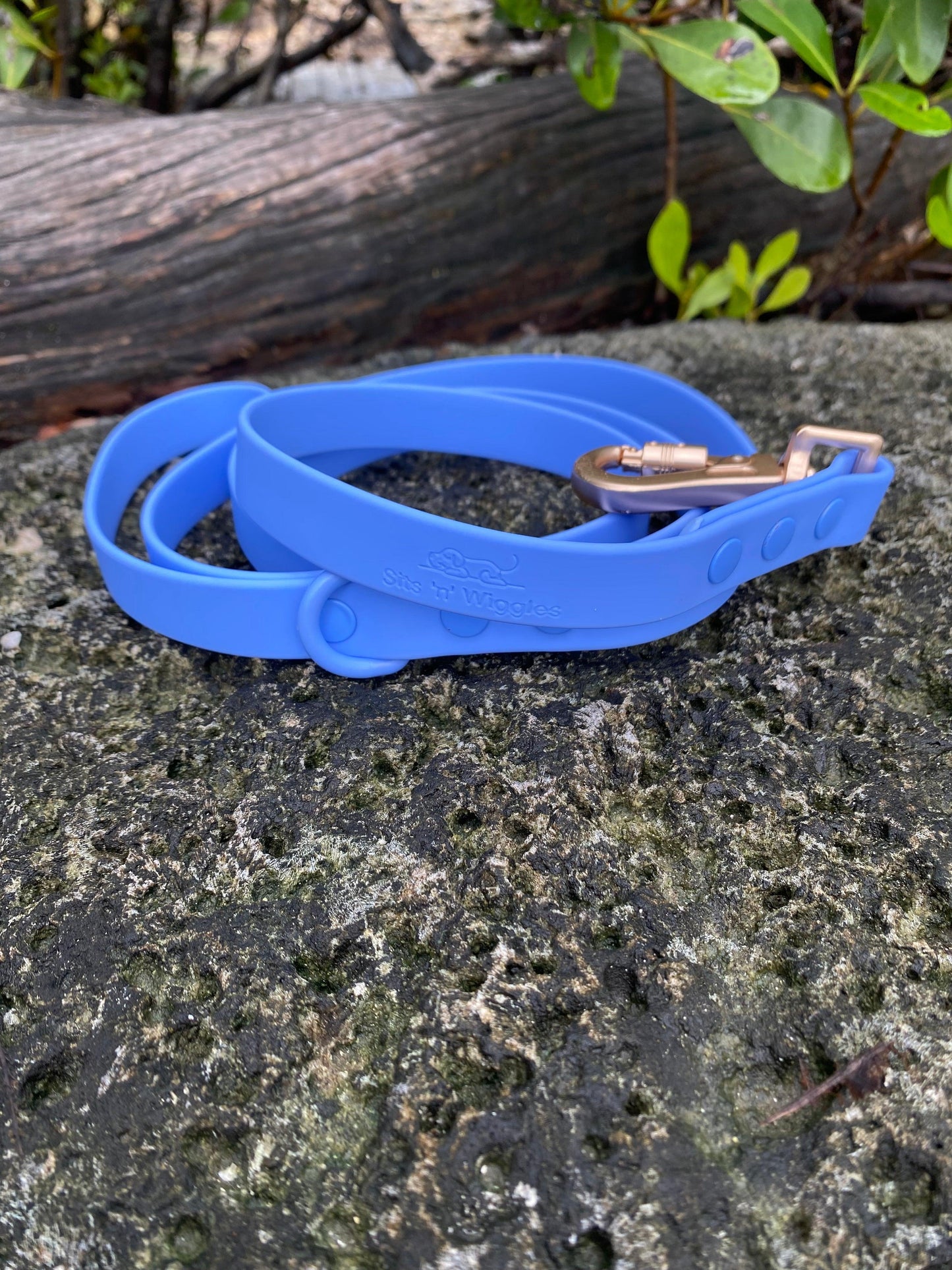 Walks with Ruby Lead Peach