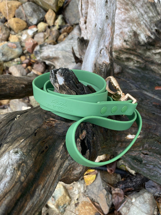 Walks with Ruby Lead