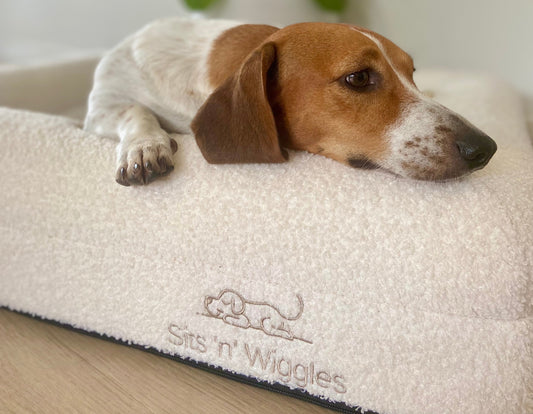 IMG_3945_1 - Sits 'n' Wiggles