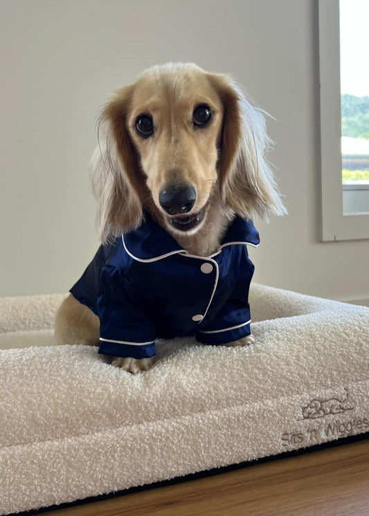 IMG_4238 - Sits 'n' Wiggles