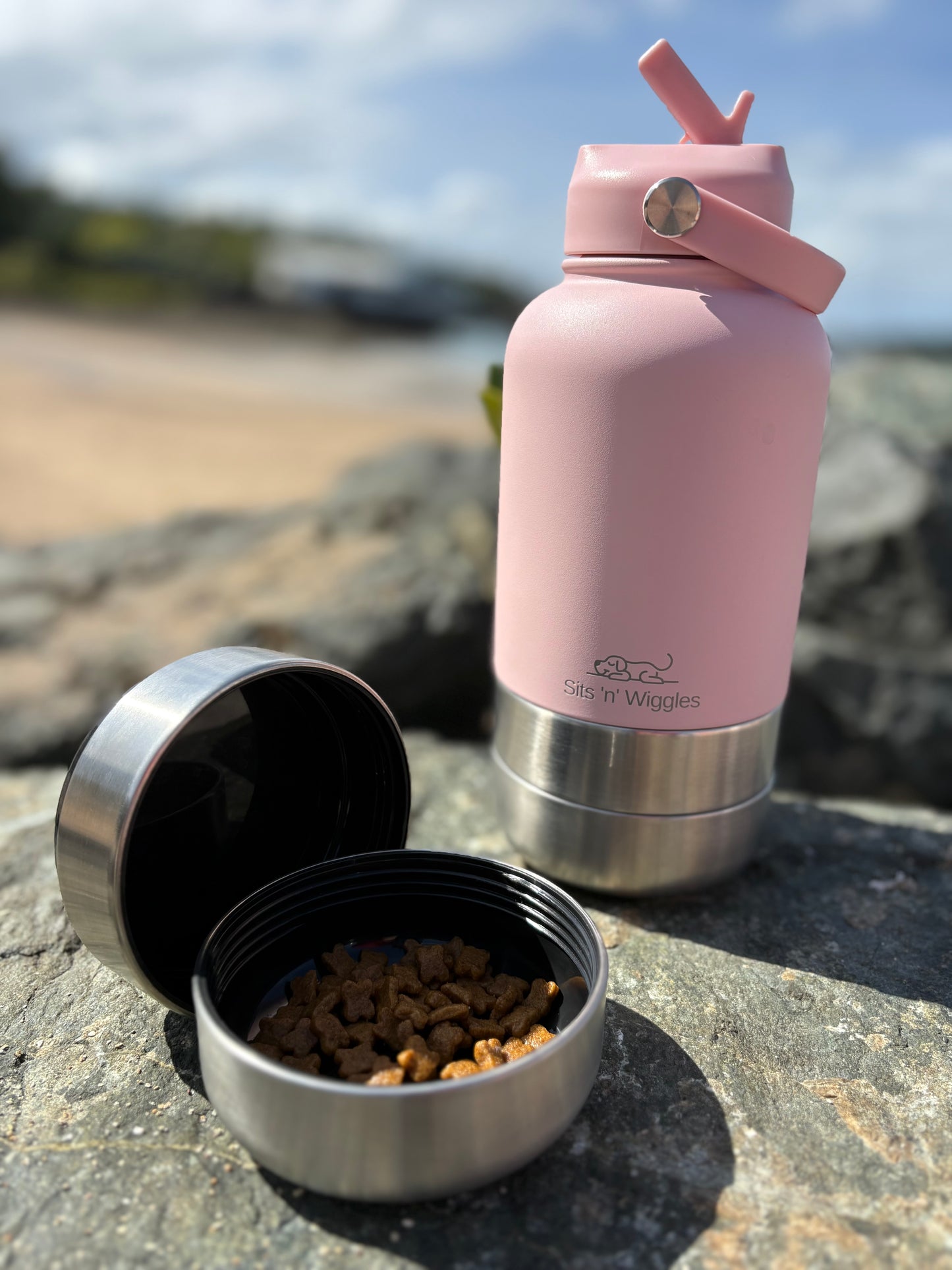 Scout Adventure Bottle
