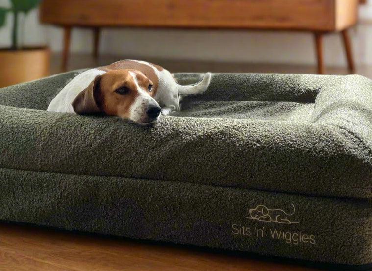 Ziggy lying on a olive dog bed with 'Sits n Wiggles' branding in a home setting.