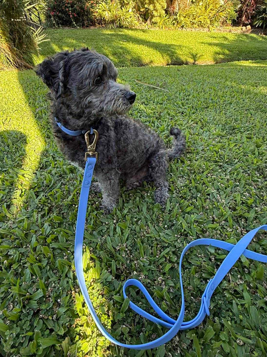 Walks with Ruby Bundle