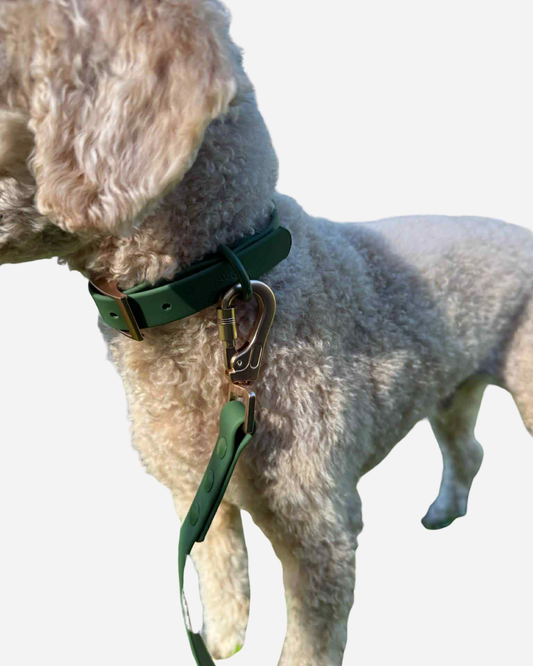 Walks with Ruby Bundle