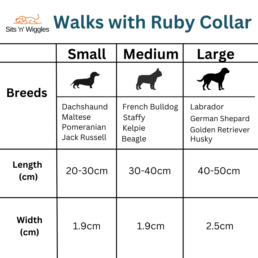 collar_guide_0c6fb7ad-cb0b-4c66-af67-9948b56ab791 - Sits 'n' Wiggles