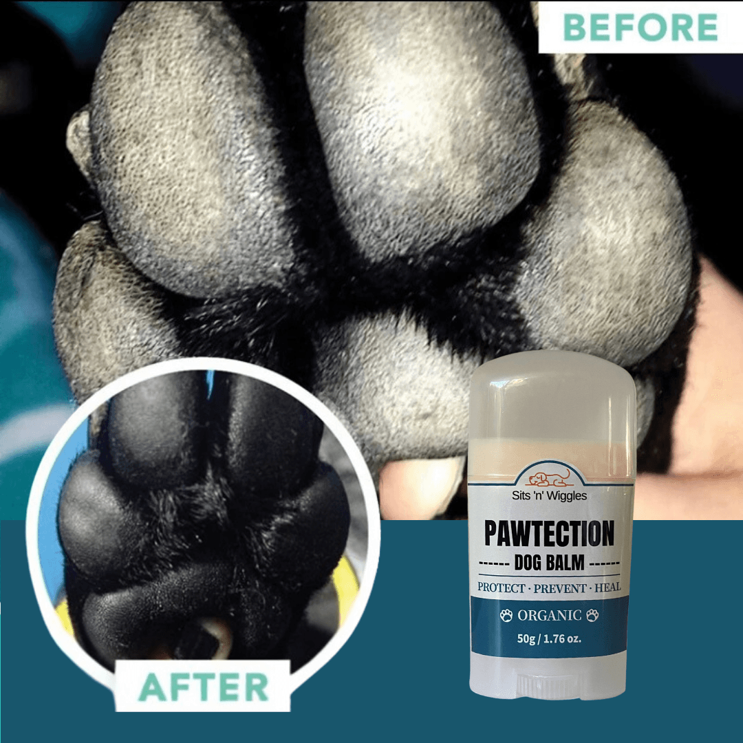 paws_before_after - Sits 'n' Wiggles