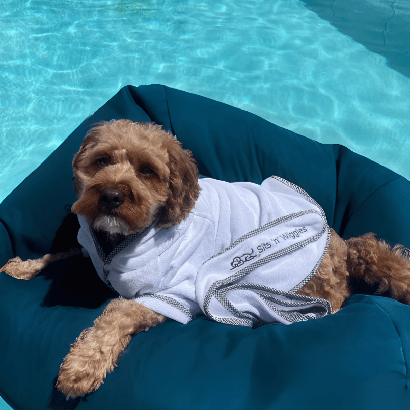 scrappy_pool1 - Sits 'n' Wiggles