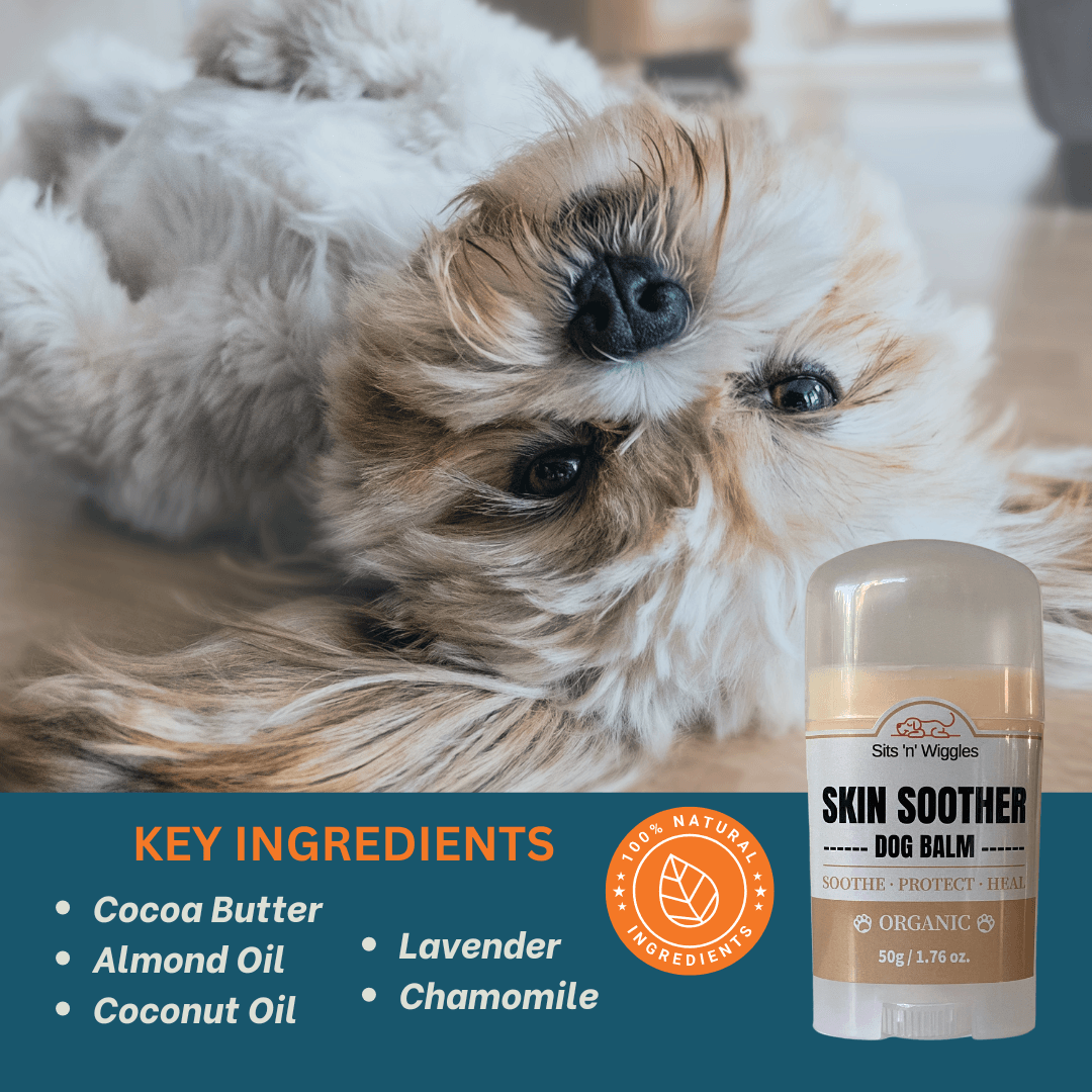 skin_tummy - Sits 'n' Wiggles