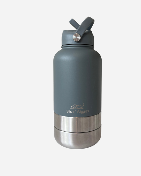 Slate Grey Scout Adventure Bottle with Straw Lid and two detachable stainless steel dog bowls