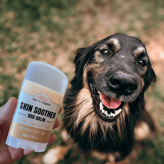 soother - Sits 'n' Wiggles