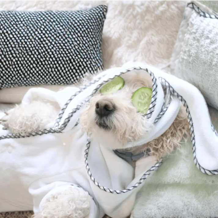 spa_day - Sits 'n' Wiggles