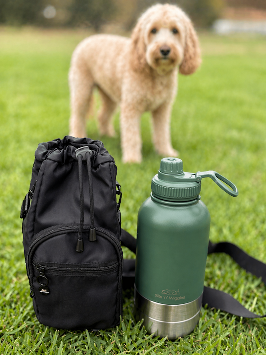 Scout Adventure Kit - Gulp Lid