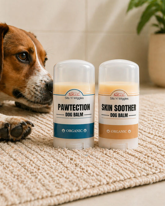 Pawtection + Skin Soother Duo