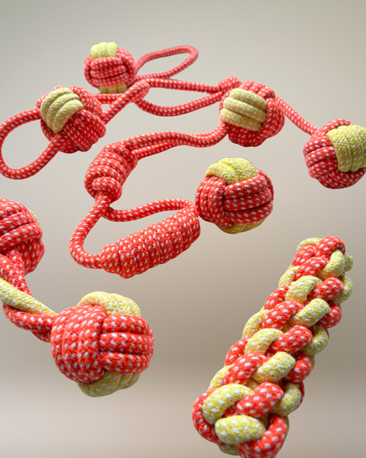 Rope Toys - Pack of 7