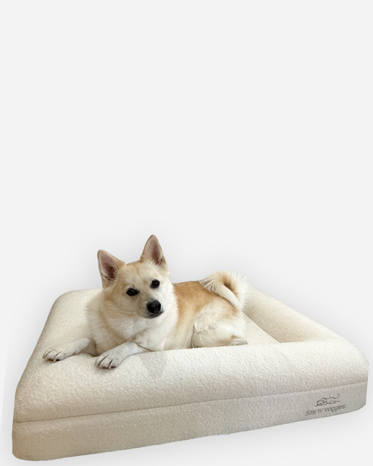 LIMITED EDITION - White Jax Bed Summer Sale Bundle