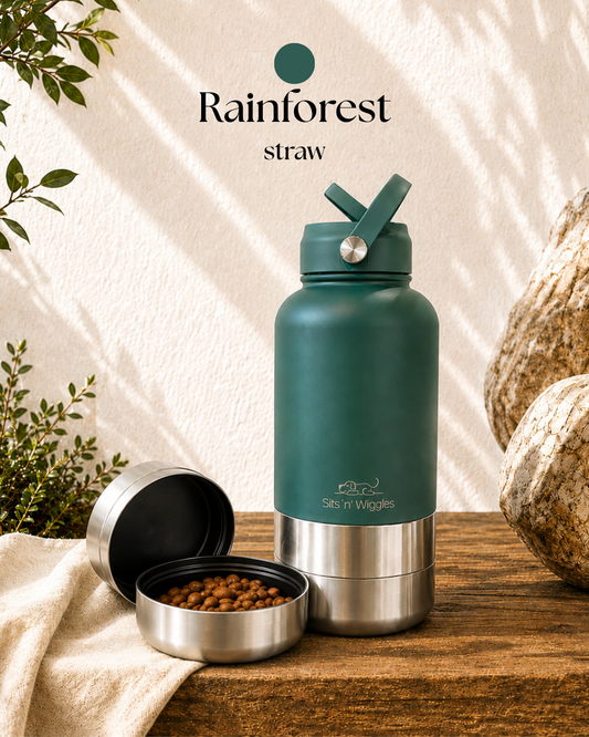 Rainforest | Earth Collection | STRAW Lid