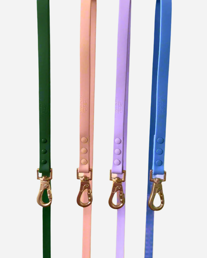 Walks with Ruby Lead