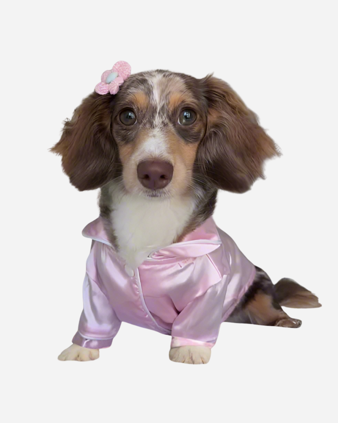 'Sweet Dreams' by Ziggy Navy