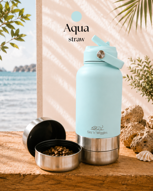 Aqua | Coastal Collection | STRAW Lid