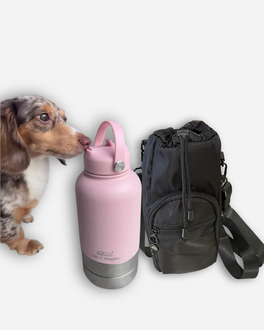 Scout Adventure Bottle + SNW Go Bag Bundle