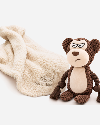 Cosy Companion Bundle