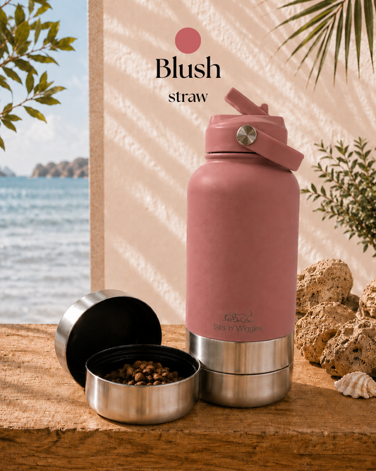 Blush | Coastal Collection | STRAW Lid