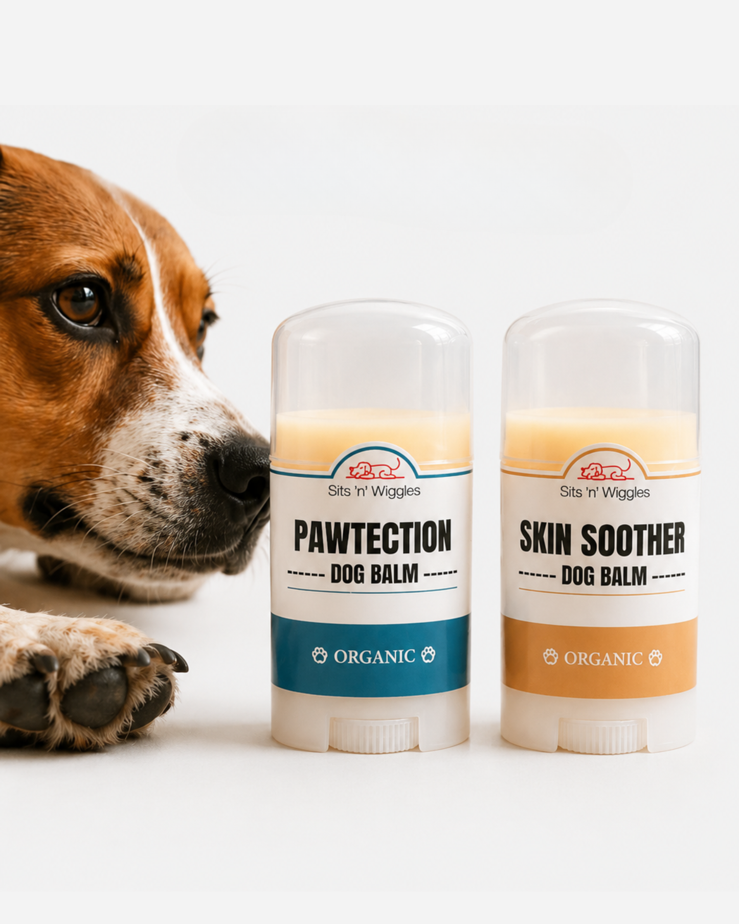Pawtection + Skin Soother Duo