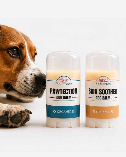 Pawtection + Skin Soother Duo