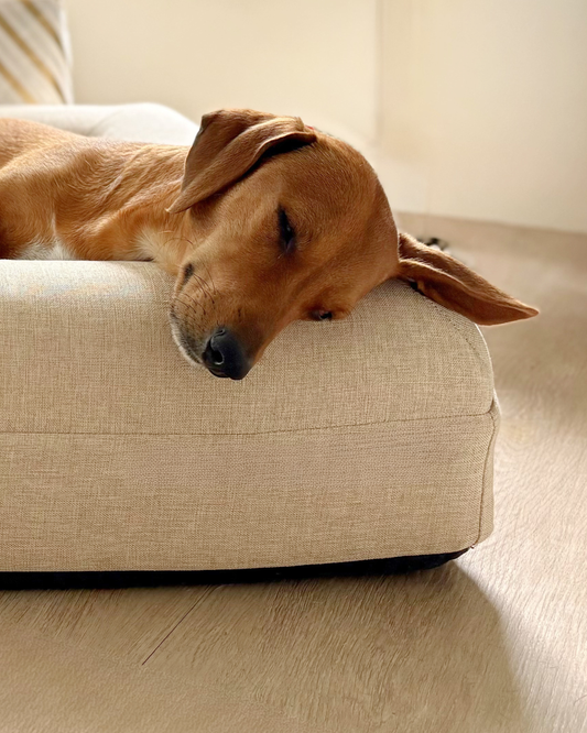 Jax Bed - Cover Only Linen Beige