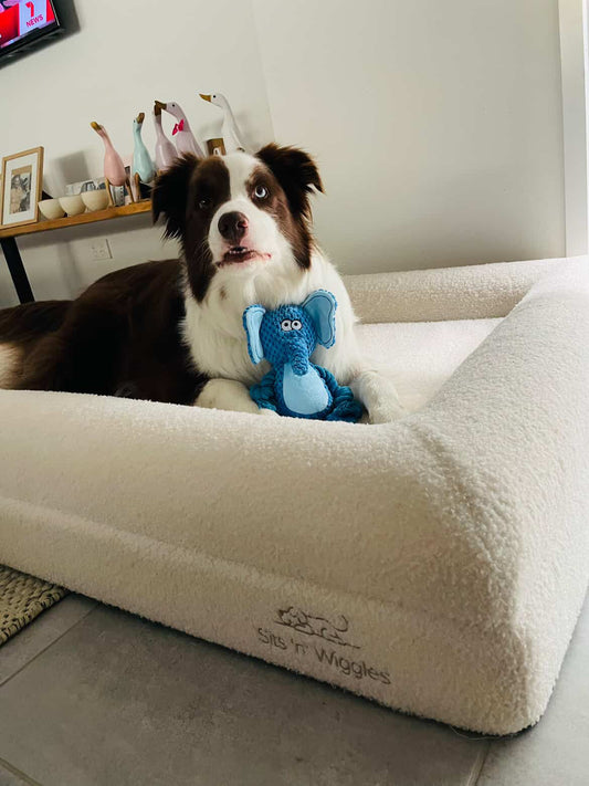 LIMITED EDITION - White Jax Bed Summer Sale Bundle