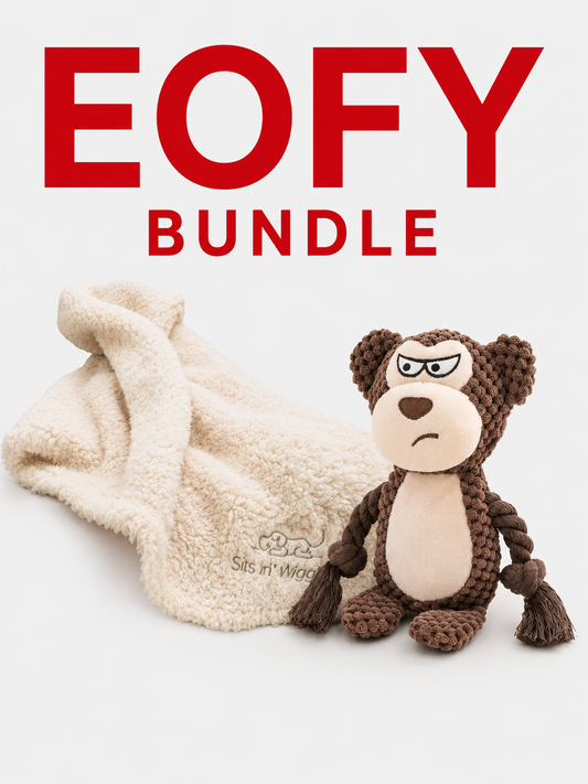 Cosy Companion Bundle