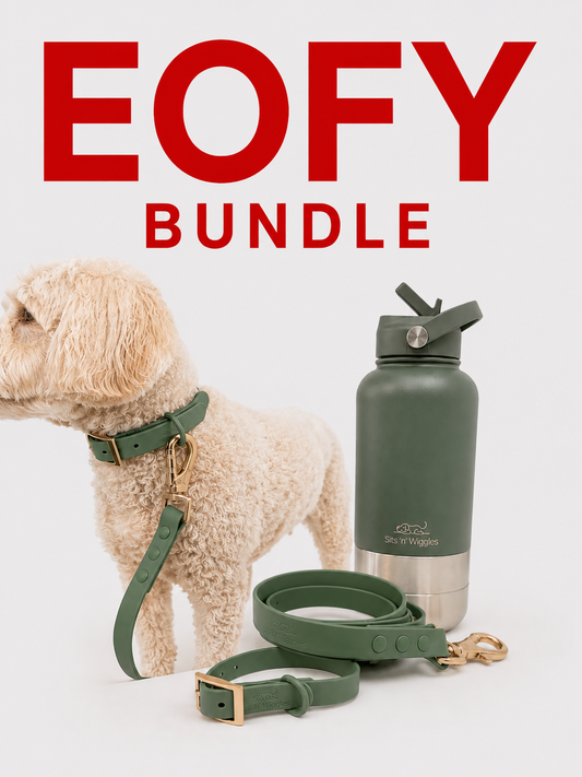 Everyday Adventure Bundle