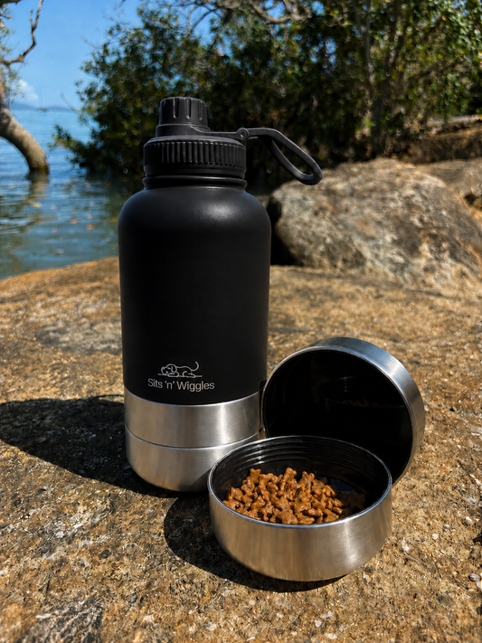 Scout Adventure Bottle with GULP LID Onyx