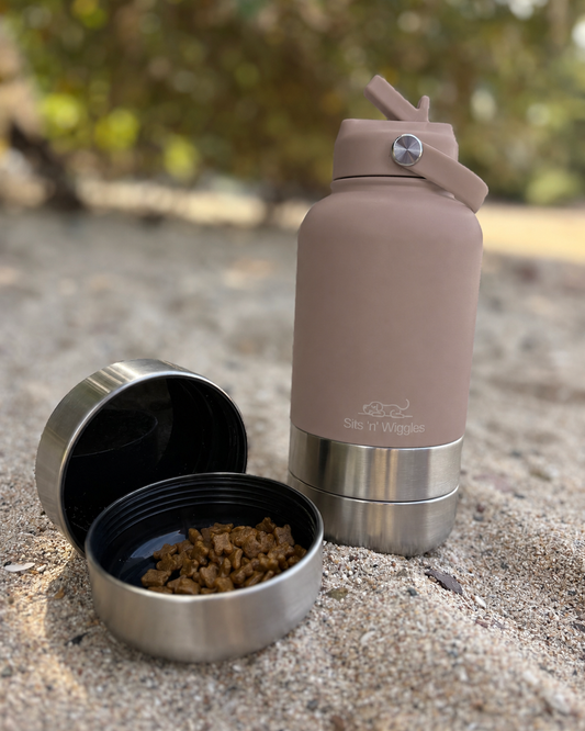 Scout Adventure Bottle Cocoa