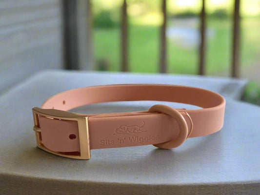 IMG_3203 - Sits 'n' Wiggles