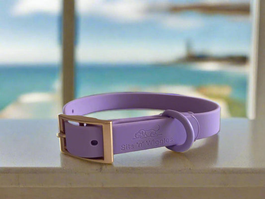 IMG_3207 - Sits 'n' Wiggles