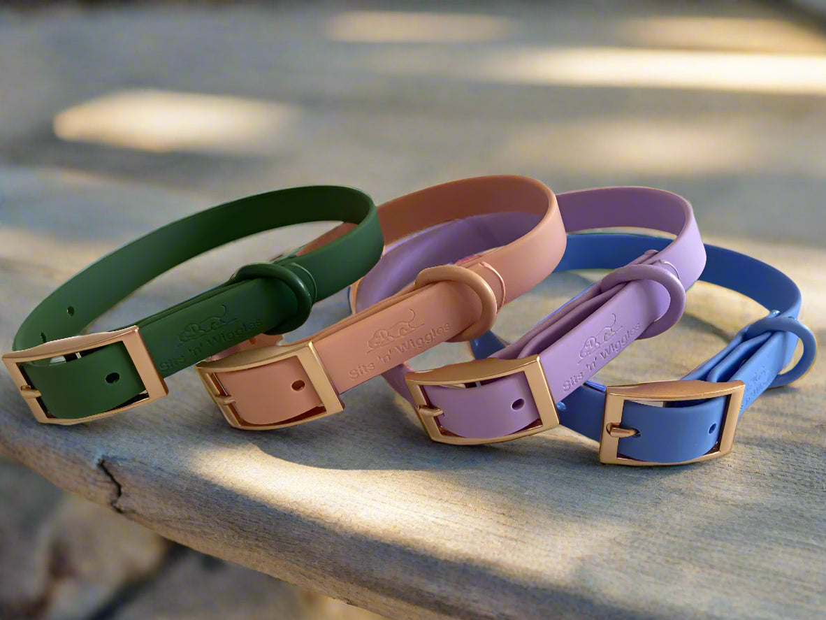 Walks with Ruby Christmas Set