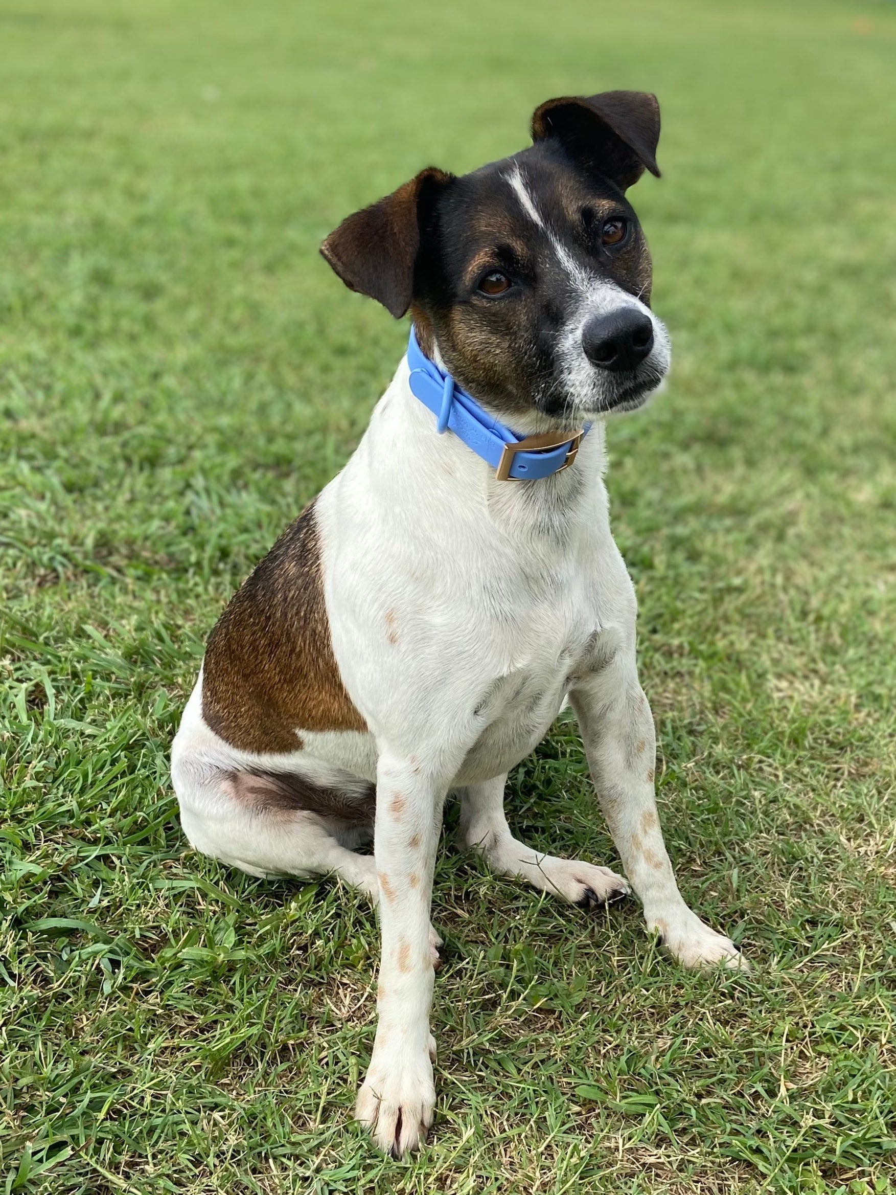 IMG_3333 - Sits 'n' Wiggles