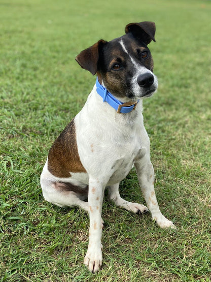 IMG_3333 - Sits 'n' Wiggles