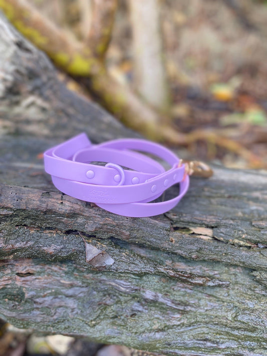 Walks with Ruby Lead Lilac